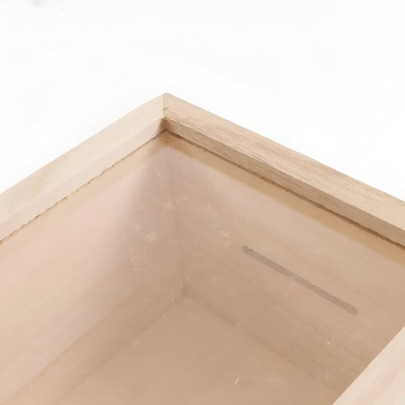 grande tirelire transparente