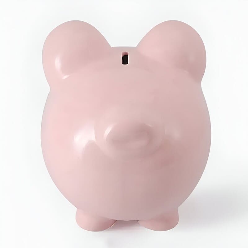 tirelire cochon argile