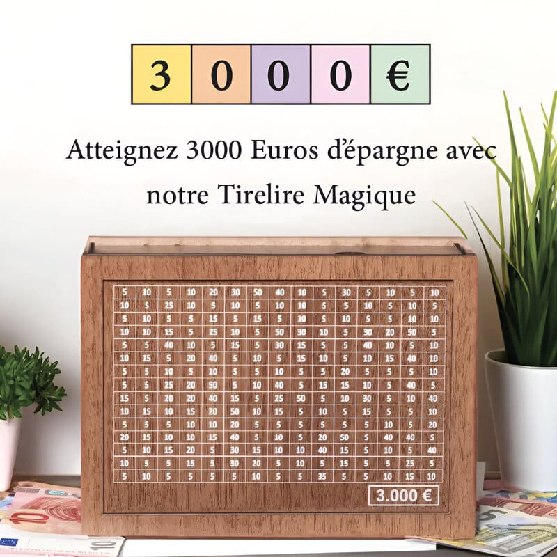 tirelire 3000 euros japonaise