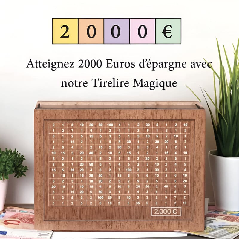 tirelire 2000 euros japonaise