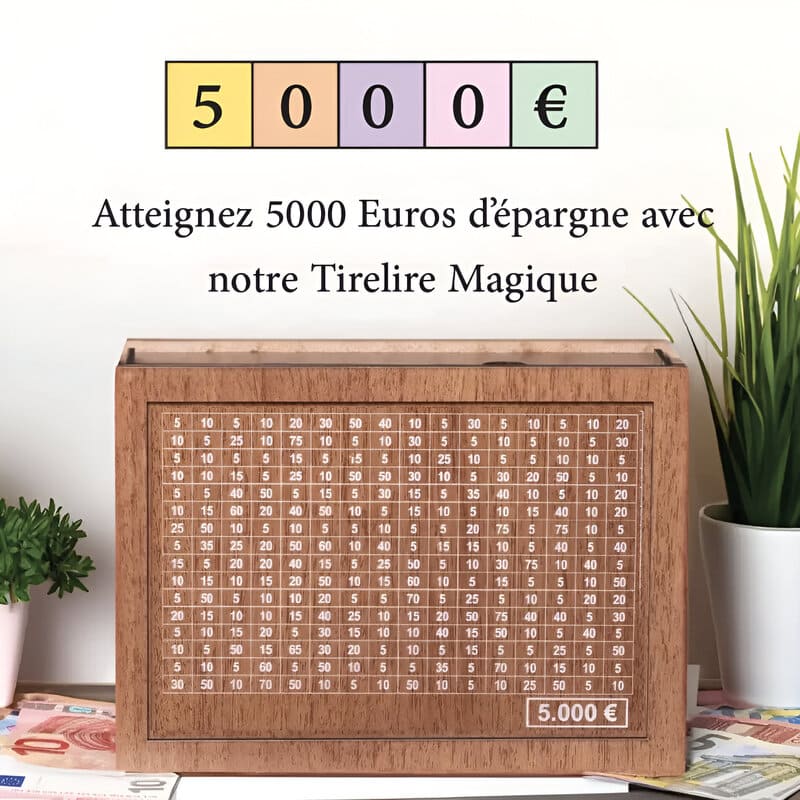 tirelire 5000